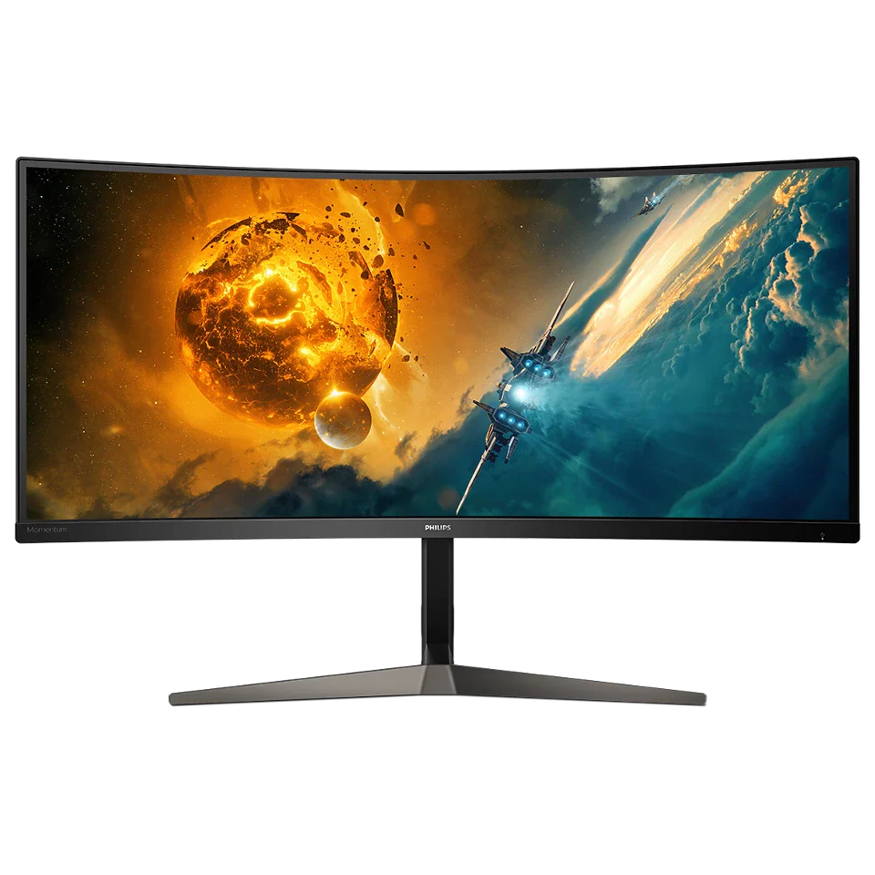 Displays & Mounts